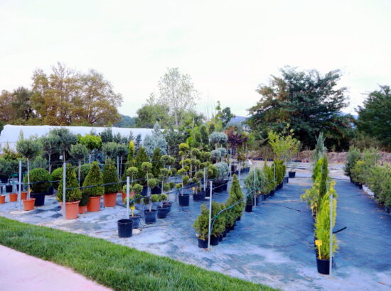 ΦυτοΧώρα Κέντρο Κήπου & Φυτών 
