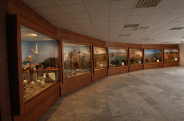 Natural History Museum of Serres